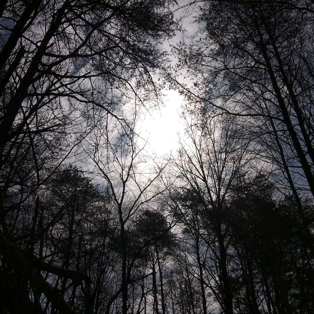 Meet your Posher, Robin